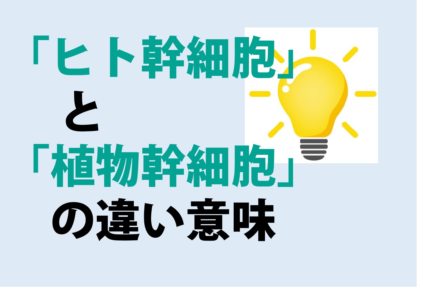 ヒト幹細胞と植物幹細胞の違いの意味を分かりやすく解説！