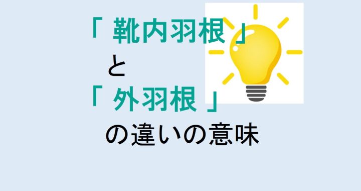 靴内羽根と外羽根の違いの意味を分かりやすく解説！