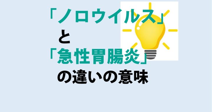 ノロウイルスと急性胃腸炎の違いの意味を分かりやすく解説！