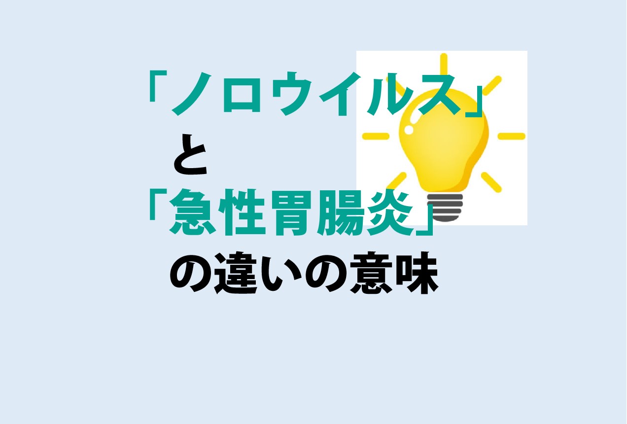 ノロウイルスと急性胃腸炎の違い