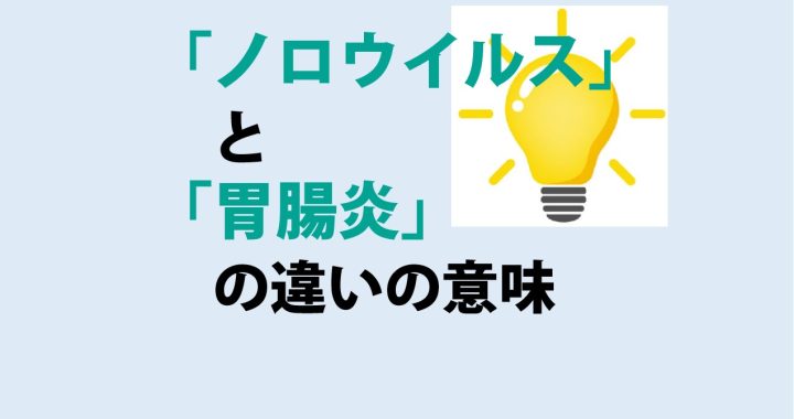 ノロウイルスと胃腸炎の違いの意味を分かりやすく解説！