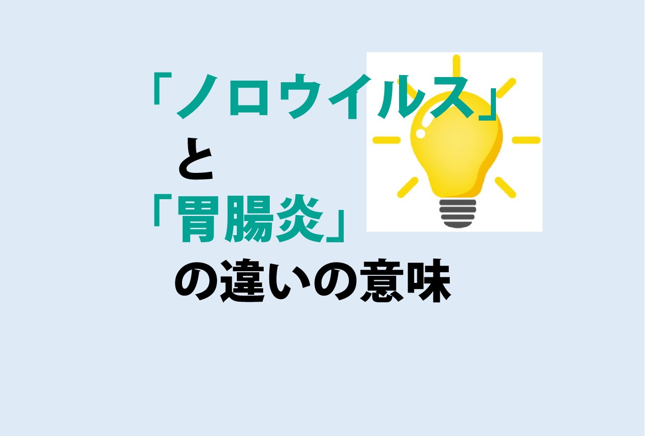 ノロウイルスと胃腸炎の違い