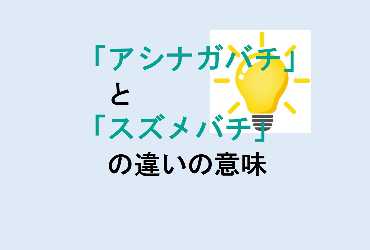 アシナガバチとスズメバチの違い