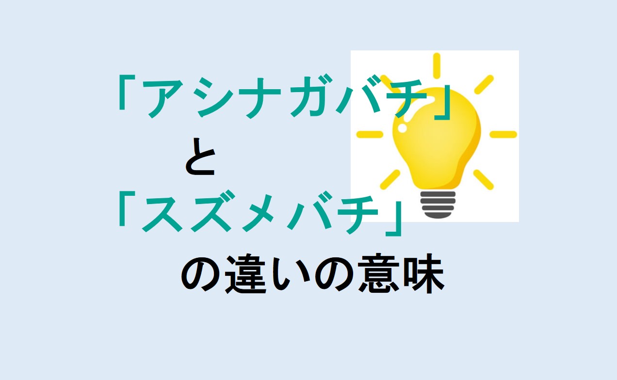 アシナガバチとスズメバチの違い