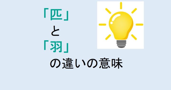 匹と羽の違いの意味を分かりやすく解説！