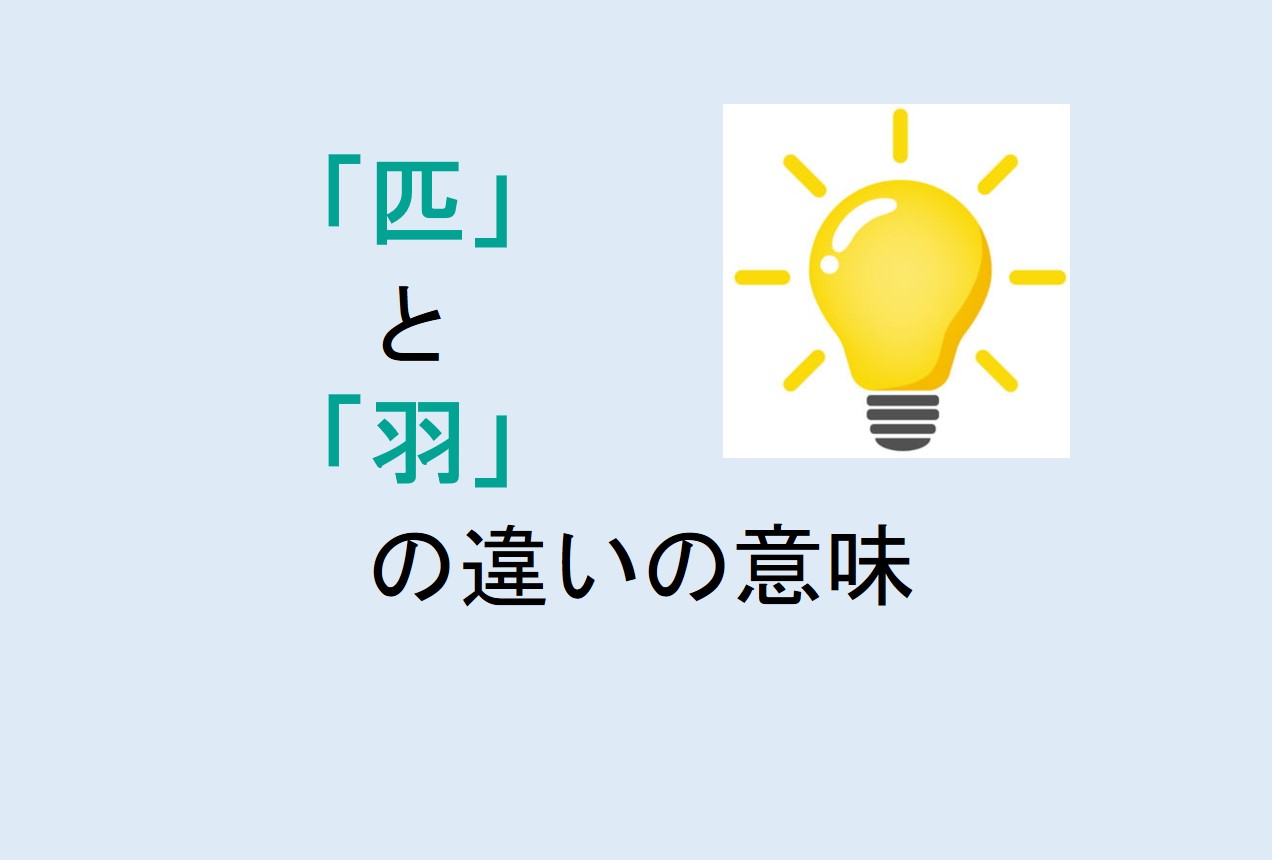 匹と羽の違い