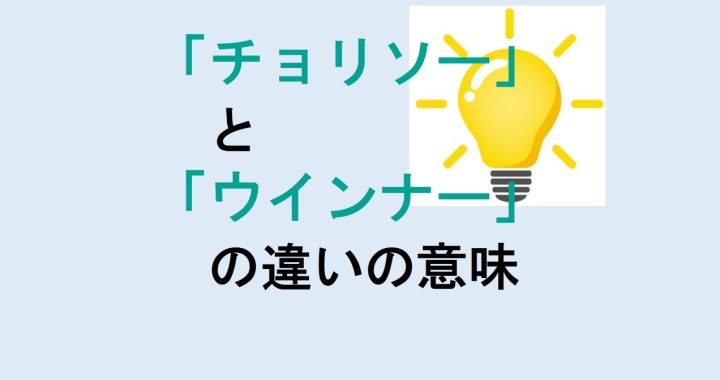 チョリソーとウインナーの違いの意味を分かりやすく解説！