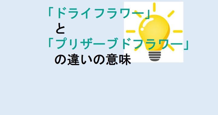 ドライフラワーとプリザーブドフラワーの違いを分かりやすく解説！