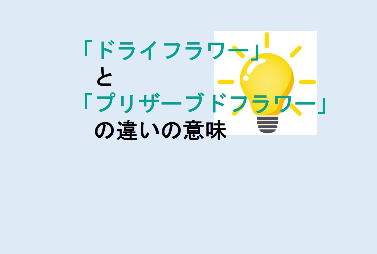 ドライフラワーとプリザーブドフラワーの違い