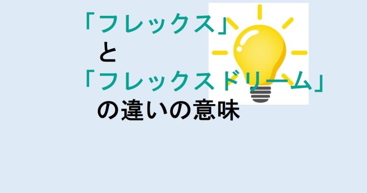 フレックスとフレックスドリームの違いの意味を分かりやすく解説！