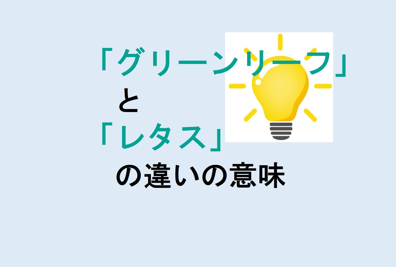 グリーンリーフとレタスの違い