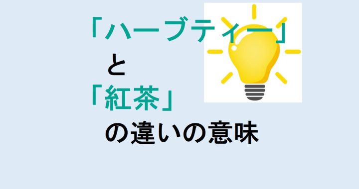 ハーブティーと紅茶の違いの意味を分かりやすく解説！