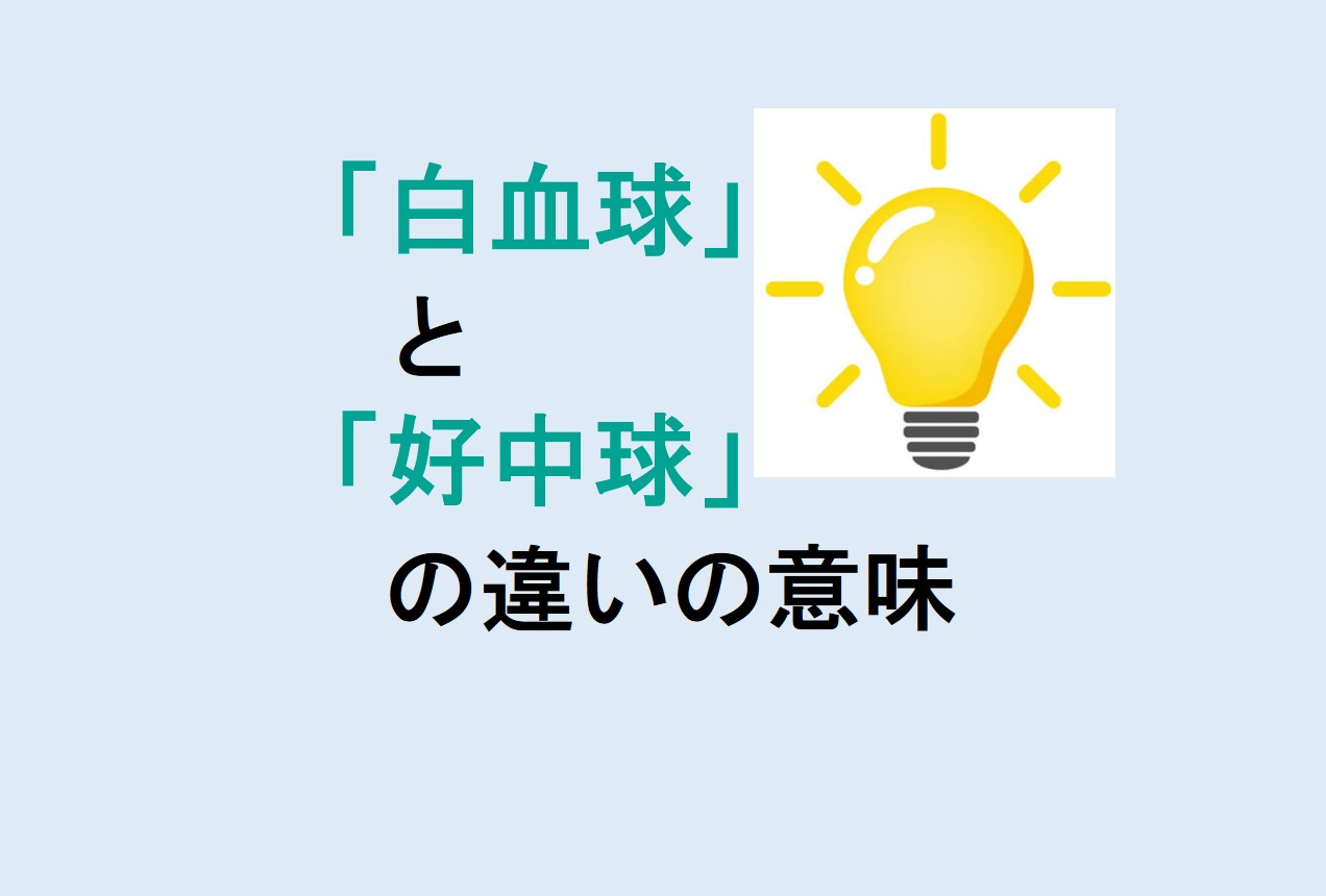 白血球と好中球の違い