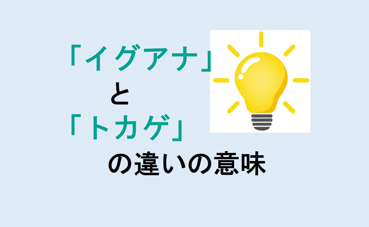 イグアナとトカゲの違い