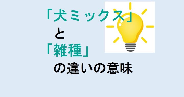 犬ミックスと雑種の違いの意味を分かりやすく解説！