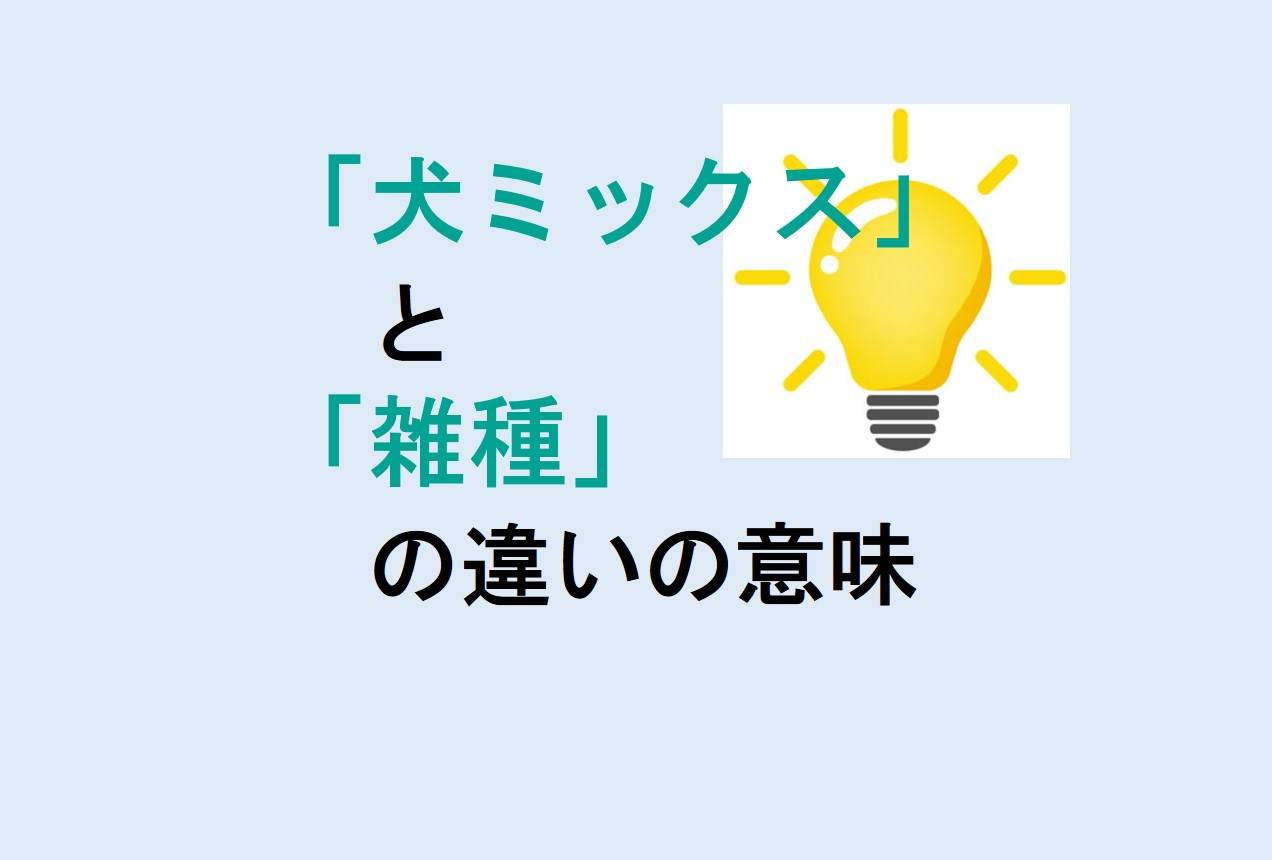 犬ミックスと雑種の違い