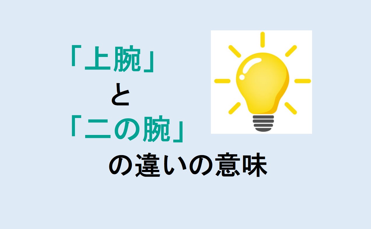 上腕と二の腕の違い