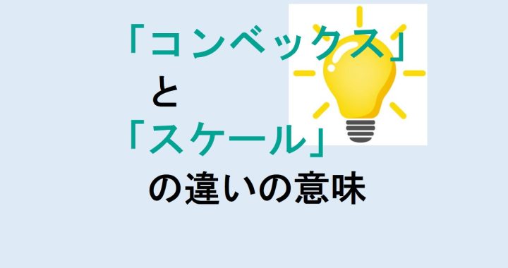 コンベックスとスケールの違いの意味を分かりやすく解説！