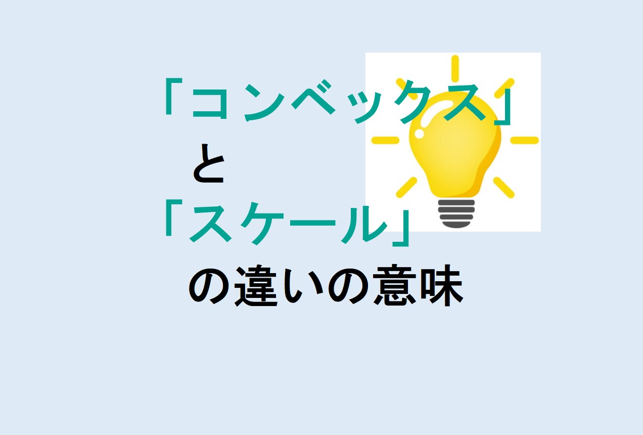 コンベックスとスケールの違い