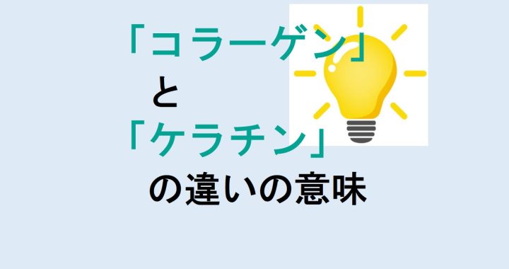 コラーゲンとケラチンの違いの意味を分かりやすく解説！