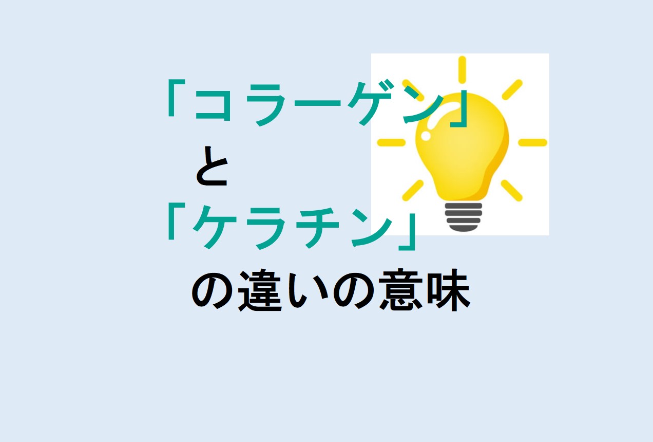 コラーゲンとケラチンの違い