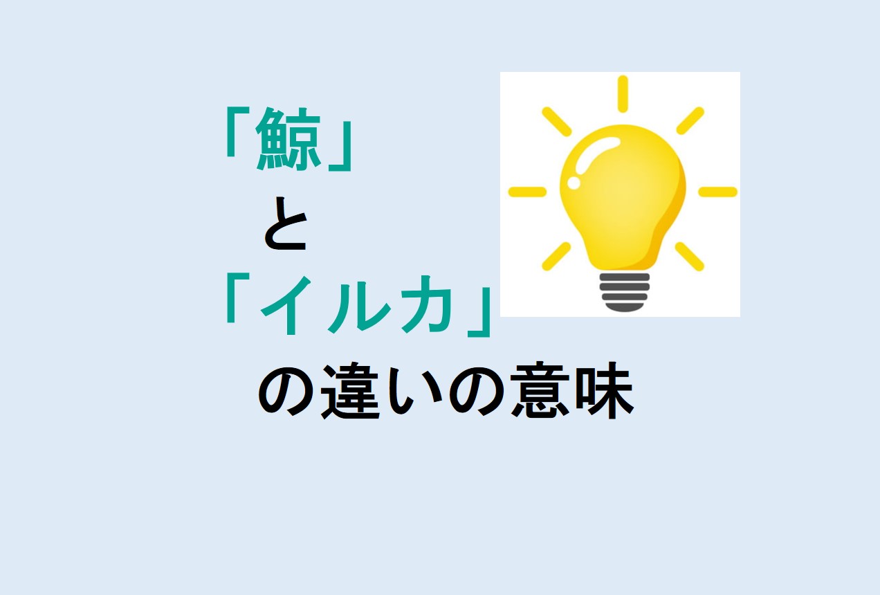 鯨とイルカの違い