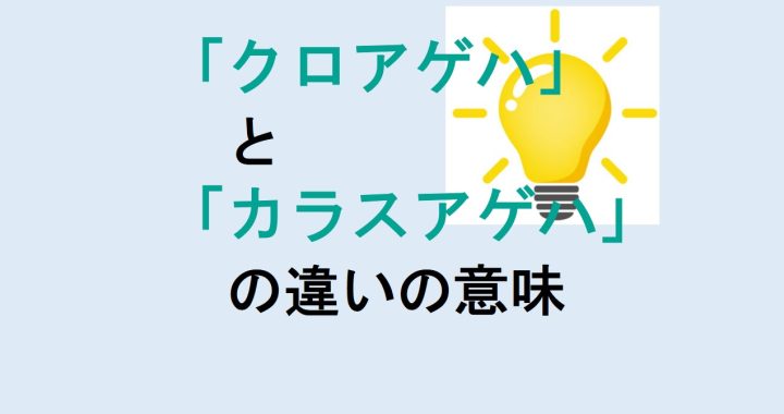 クロアゲハとカラスアゲハの違いの意味を分かりやすく解説！