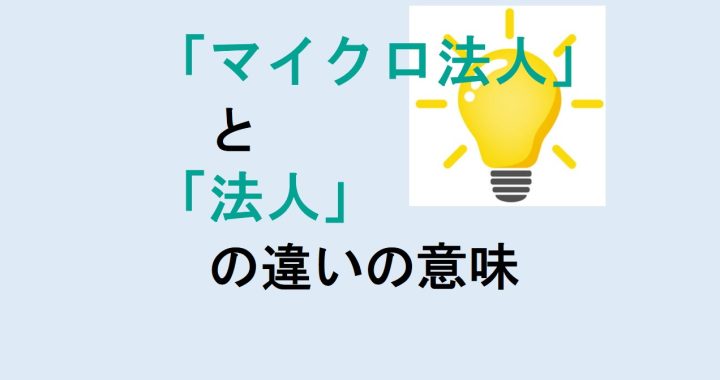 マイクロ法人と法人の違いの意味を分かりやすく解説！