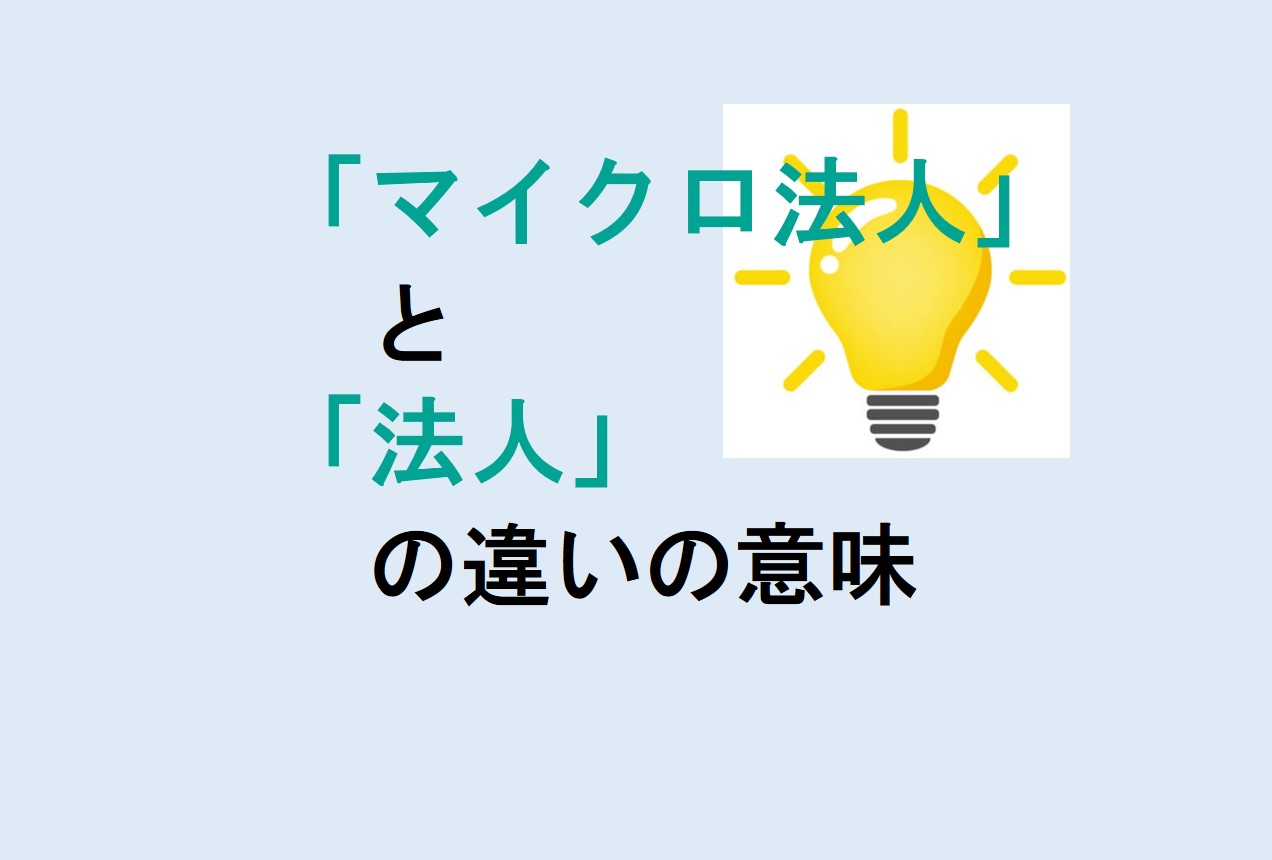 マイクロ法人と法人の違い