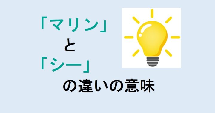 マリンとシーの違いの意味を分かりやすく解説！