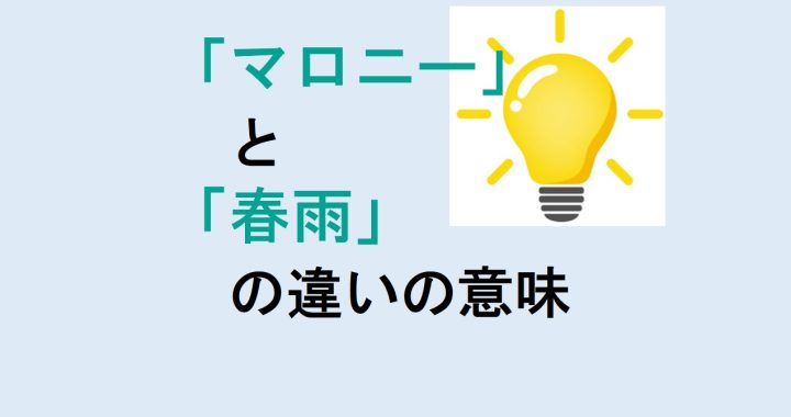 マロニーと春雨の違いの意味を分かりやすく解説！