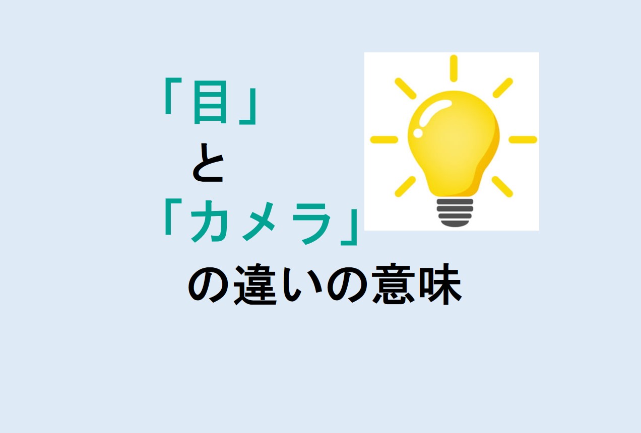 目とカメラの違い