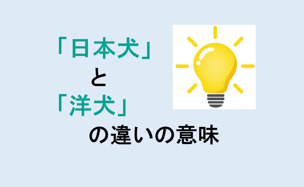 日本犬と洋犬の違い