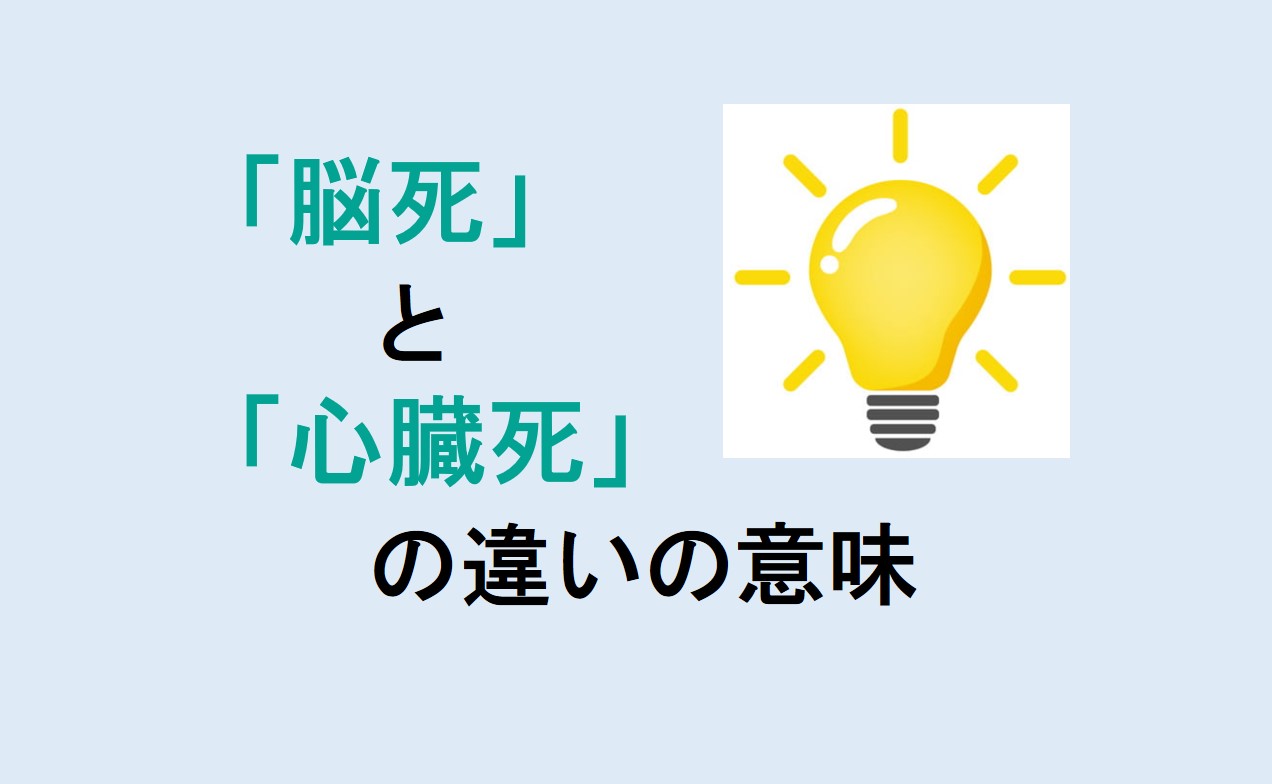 脳死と心臓死の違い