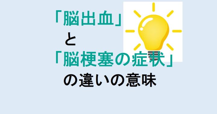 脳出血と脳梗塞の症状の違いの意味を分かりやすく解説！