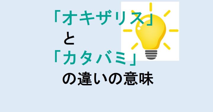 オキザリスとカタバミの違いの意味を分かりやすく解説！