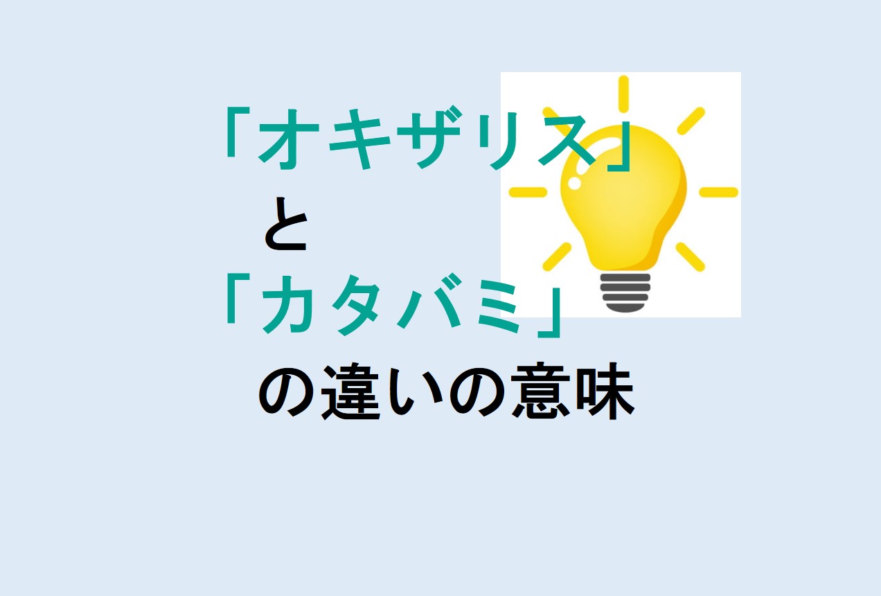 オキザリスとカタバミの違い