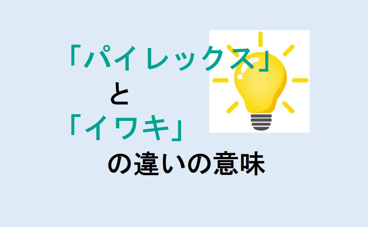 パイレックスとイワキの違い