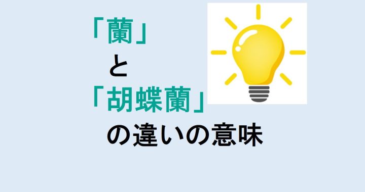 蘭と胡蝶蘭の違いの意味を分かりやすく解説！