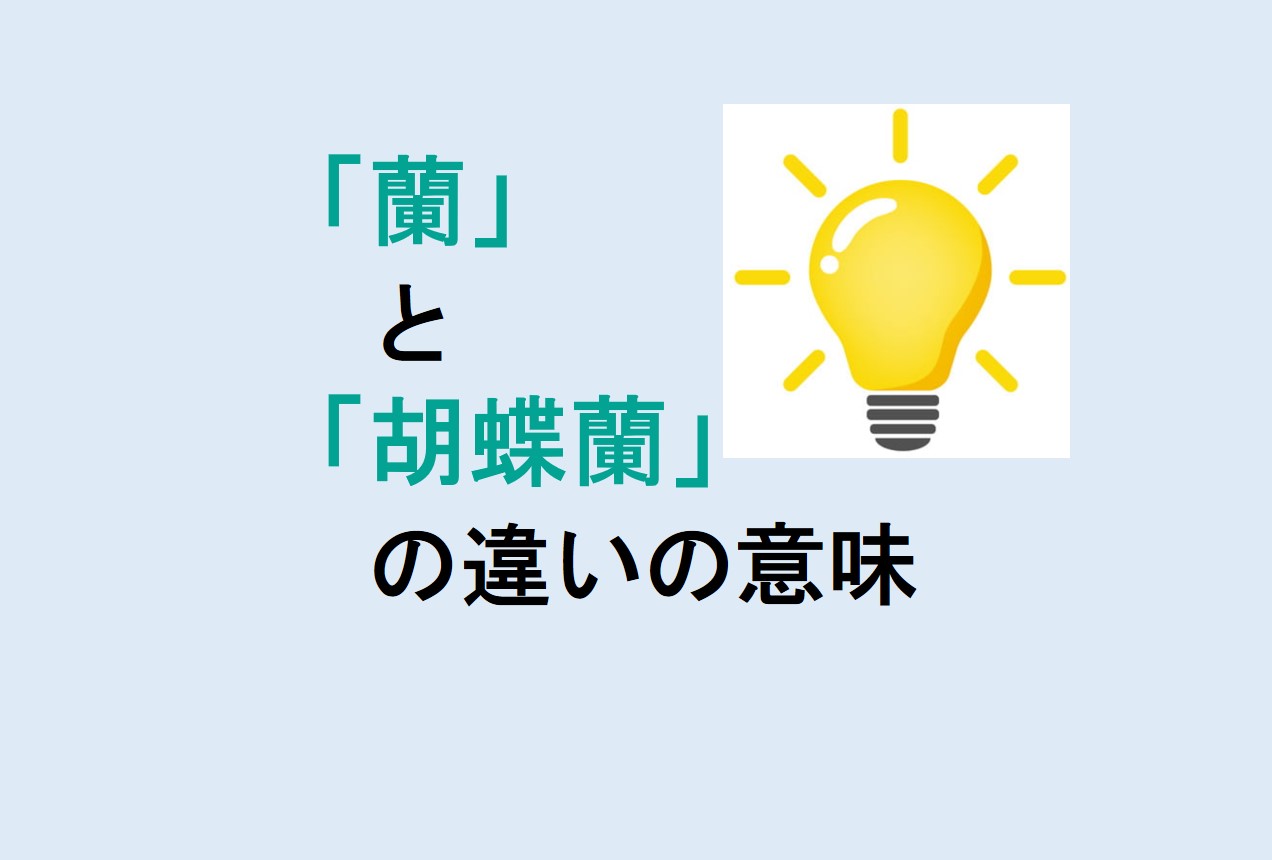 蘭と胡蝶蘭の違い