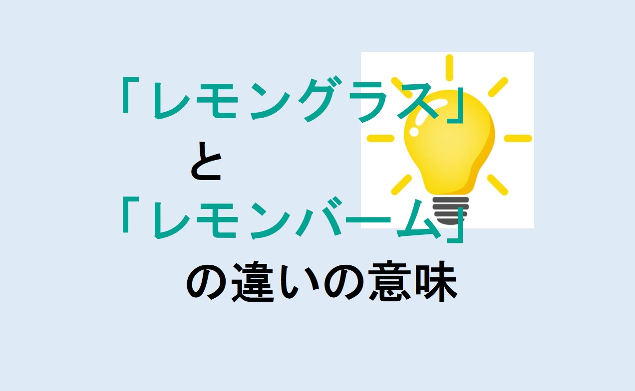 レモングラスとレモンバームの違い