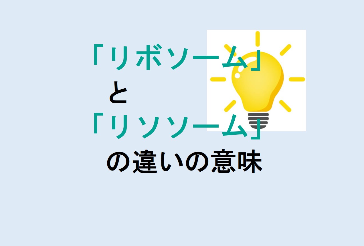 リボソームとリソソームの違い