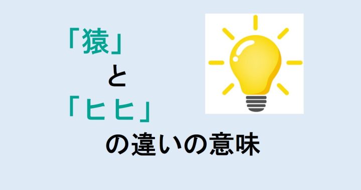 猿とヒヒの違いの意味を分かりやすく解説！