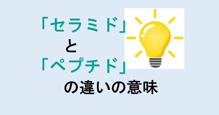 セラミドとペプチドの違いの意味を分かりやすく解説！