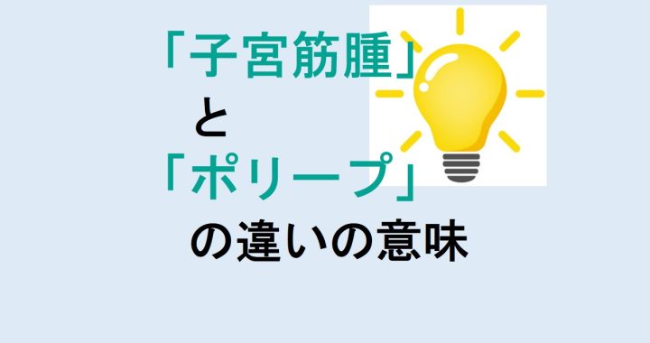 子宮筋腫とポリープの違いの意味を分かりやすく解説！