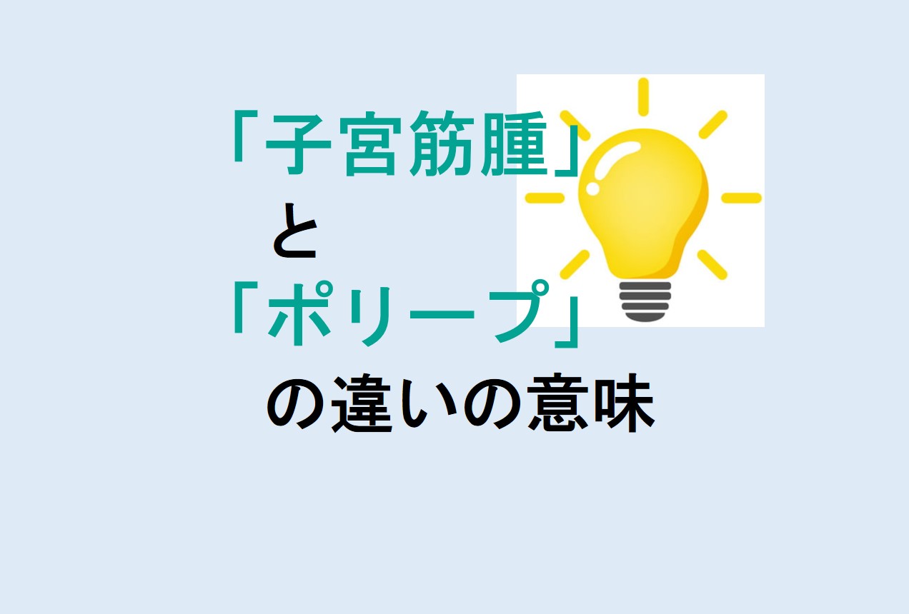 子宮筋腫とポリープの違い