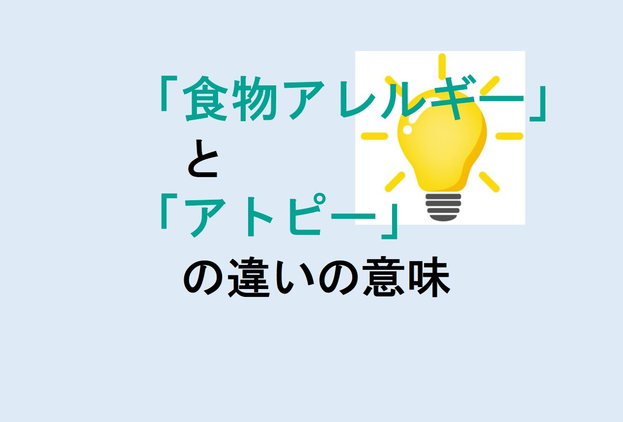 食物アレルギーとアトピーの違い