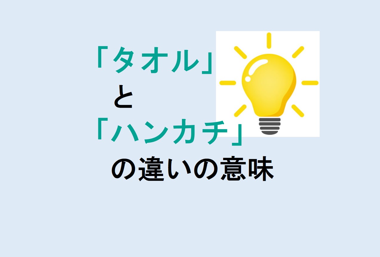 タオルとハンカチの違い