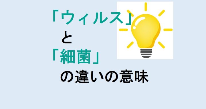 ウィルスと細菌の違いの意味を分かりやすく解説！