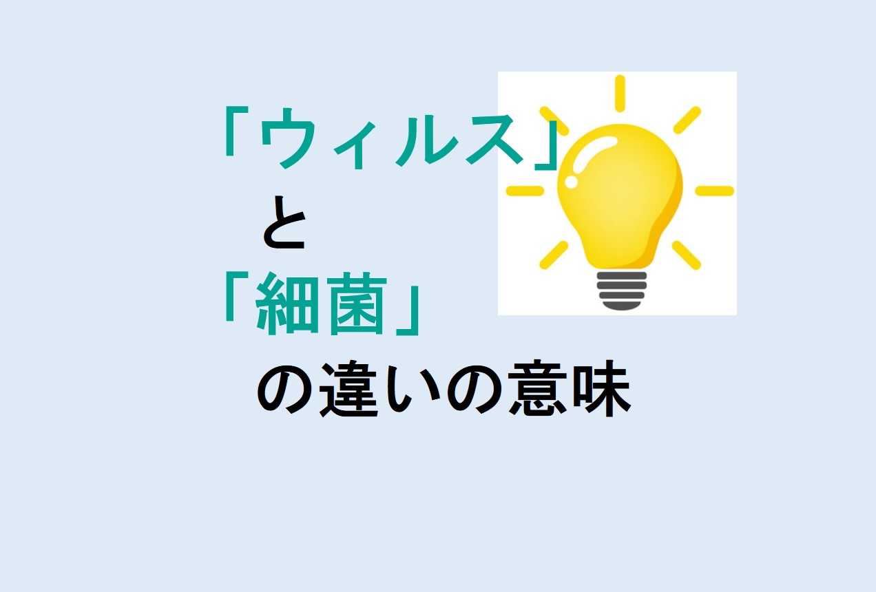 ウィルスと細菌の違い